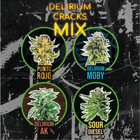 MIX DELIRIUM CRACK FAST VERSION X14-DELIRIUM SEEDS (DS)