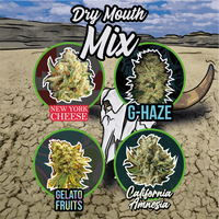 MIX DRY MOUTH LINE AUTO X14-DELIRIUM SEEDS (DS)