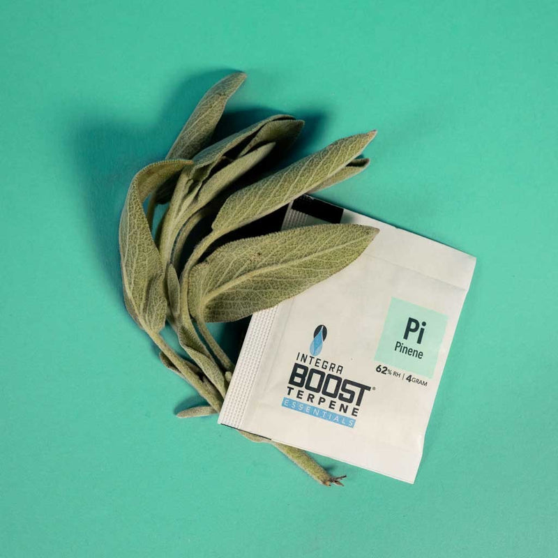 REGULADOR DE HUMEDAD CON TERPENO PINENE 4G 62%-INTEGRA BOOST (DS)