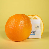 REGULADOR DE HUMEDAD CON TERPENO LIMONENE 4G 62%-INTEGRA BOOST (DS)