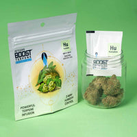 REGULADOR DE HUMEDAD CON TERPENO HUMULENE 4G 62%-INTEGRA BOOST (DS)
