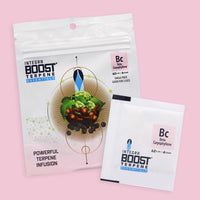 REGULADOR DE HUMEDAD CON TERPENO B-CARYOPHYLLENE 4G 62%-INTEGRA BOOST (DS)