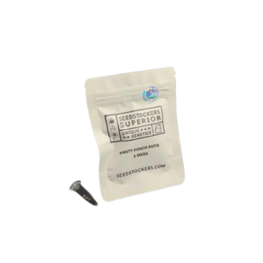 SEEDSTOCKERS PANTY PUNCH AUTO 3UDS
