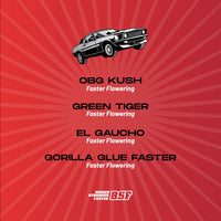 FASTER AND FURIOUS FASTER MIX FEM X4-BSF (DS)