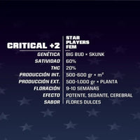 CRITICAL +2 FEM X2-BSF (DS)