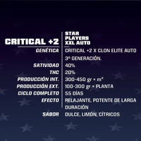 CRITICAL +2 XXL AUTO X12-BSF (DS)