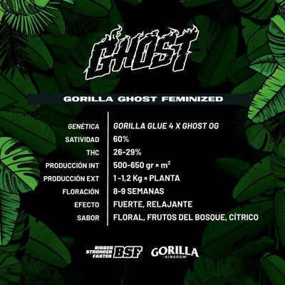 GORILLA GHOST GK FEM X2-BSF (DS)