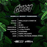 GORILLA GHOST GK FEM X2-BSF (DS)