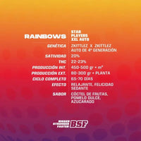 RAINBOWS XXL AUTO X12-BSF (DS)