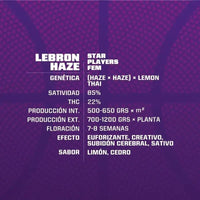LEBRON HAZE FEM X2-BSF (DS)