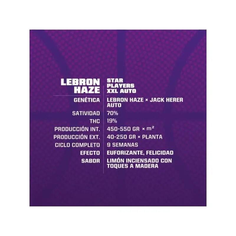 LEBRON HAZE XXL AUTO X2-BSF (DS)