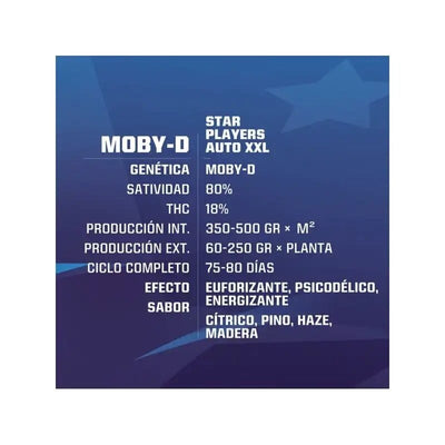 MOBY-D XXL AUTO X12-BSF (DS)