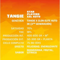 TANGIE XXL AUTO X12-BSF (DS)