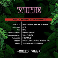 WHITE GORILLA FEM X2-BSF (DS)