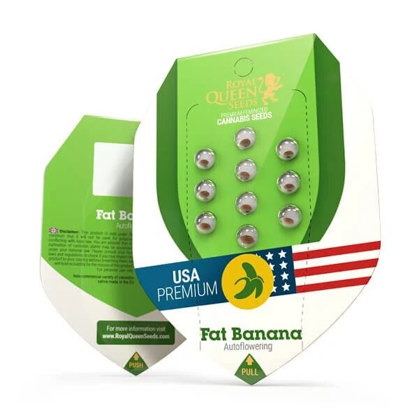 FAT BANANA USA PREMIUM AUTO X10 -ROYAL QUEEN SEEDS (DS)