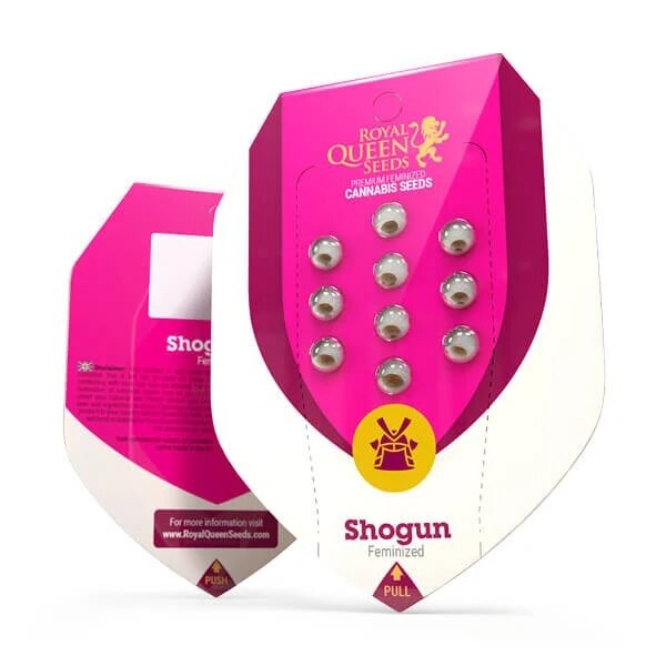 SHOGUN FEM X10-ROYAL QUEEN (DS)