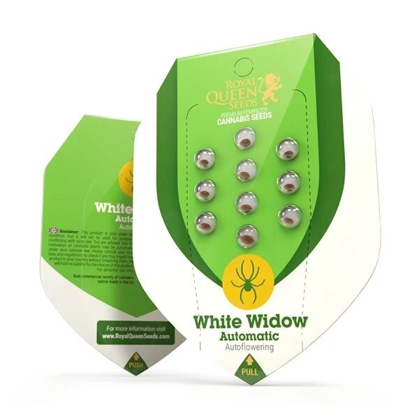 WHITE WIDOW AUTO X10-ROYAL QUEEN SEEDS (DS)