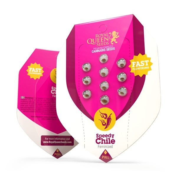 SPEEDY CHILE FAST FEM X10-ROYAL QUEEN (DS)