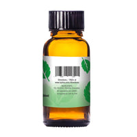 LIQUIDIZER WINTERGREEN 30ML KIT-LQDIZE (DS)