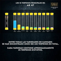 AK-47 1ML-CALI TERPENES (DS)