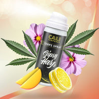 TERPS SPRAY AROMA GIPSY HAZE 5ML-CALI TERPENES (DS)