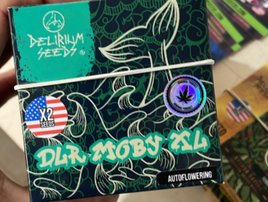 DELIRIUM MOBY XL AUTO X2 - DELIRIUM SEEDS (DS)