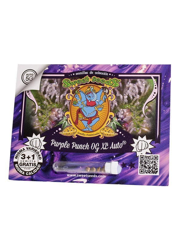 PURPLE PUNCH OG XL AUTO X25-SWEET SEEDS (DS)