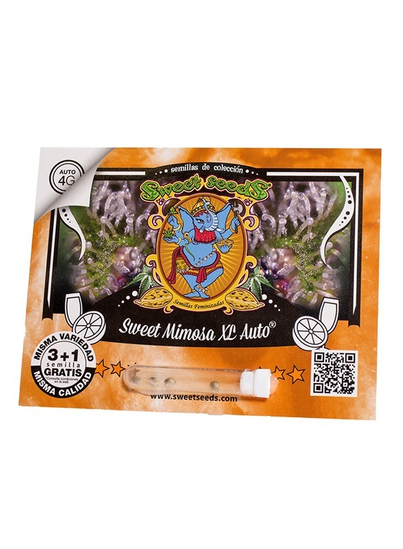 SWEET MIMOSA XL AUTO X25-SWEET SEEDS (DS)