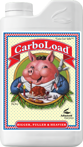 CARBOLOAD 1L-ADVANCED NUTRIENTS (DS)