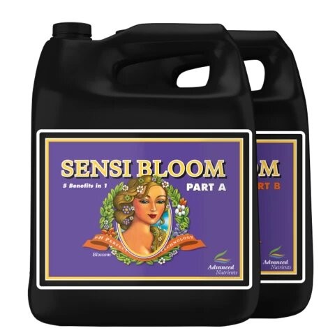 PH PERFECT SENSI BLOOM A+B 5L-ADVANCED NUTRIENTS (DS)