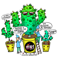 ANTIPLAGA CONCENTRADO RECARGA 4 EN 1 500CC-BIOPEST (DS)