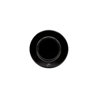 FILTRO DE CARBON ACTIVADO 100X300-KASVI (DS)