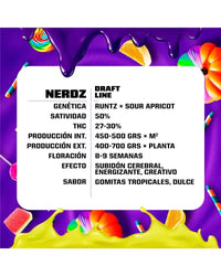 NERDZ FEM X2-BSF (DS)
