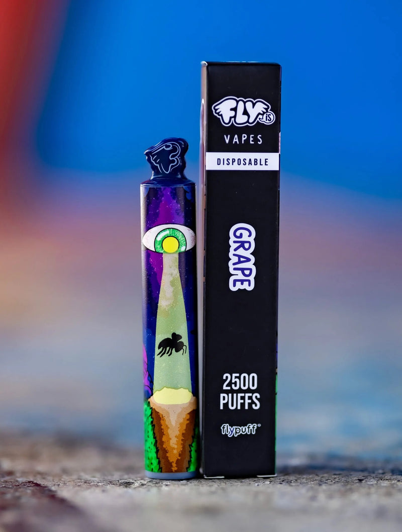 VAPORIZADOR 2500 GRAPE-FLY IS (DS)