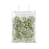 BOLSA TERPLOC TERPY BAG 0,5-1 KG-GROVE BAGS (DS)