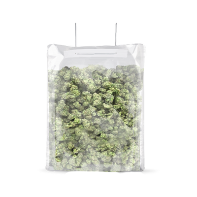 BOLSA TERPLOC TERPY BAG 0,5-1 KG-GROVE BAGS