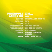 PINEAPPLE LARRY OG FEM X12-BSF (DS)