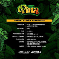 GORILLA PIÑA FEM X2-BSF (DS)