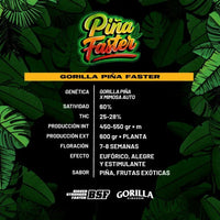 GORILLA PIÑA FAST VERSION X4-BSF (DS)