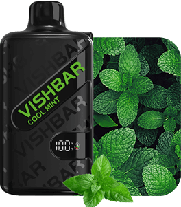 VAPORIZADOR WEEKLY 20000 COOL MINT-VISHBAR (DS)