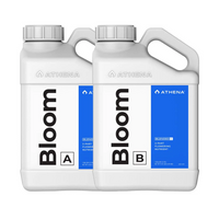 BLOOM A+B 3.75LT-ATHENA (DS)