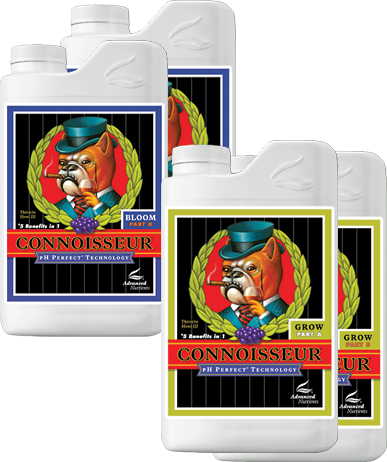 CONNOISSEUR BLOOM PARTE A+B 5 LT-ADVANCED NUTRIENTS (DS)