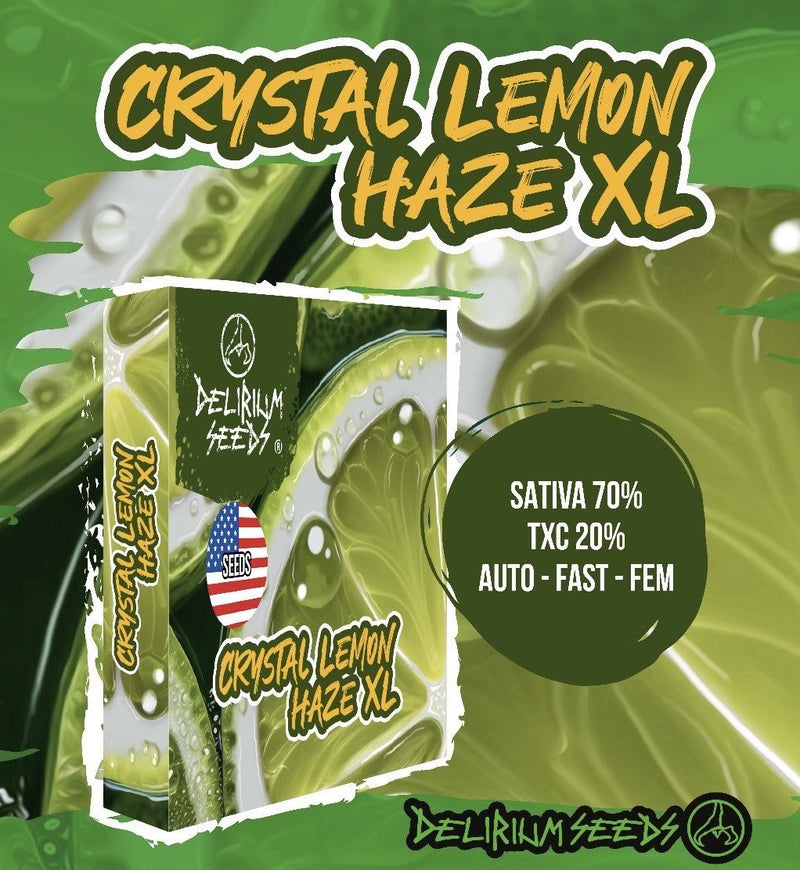 CRYSTAL LEMON HAZE XL AUTO X4-DELIRIUM SEEDS (DS)
