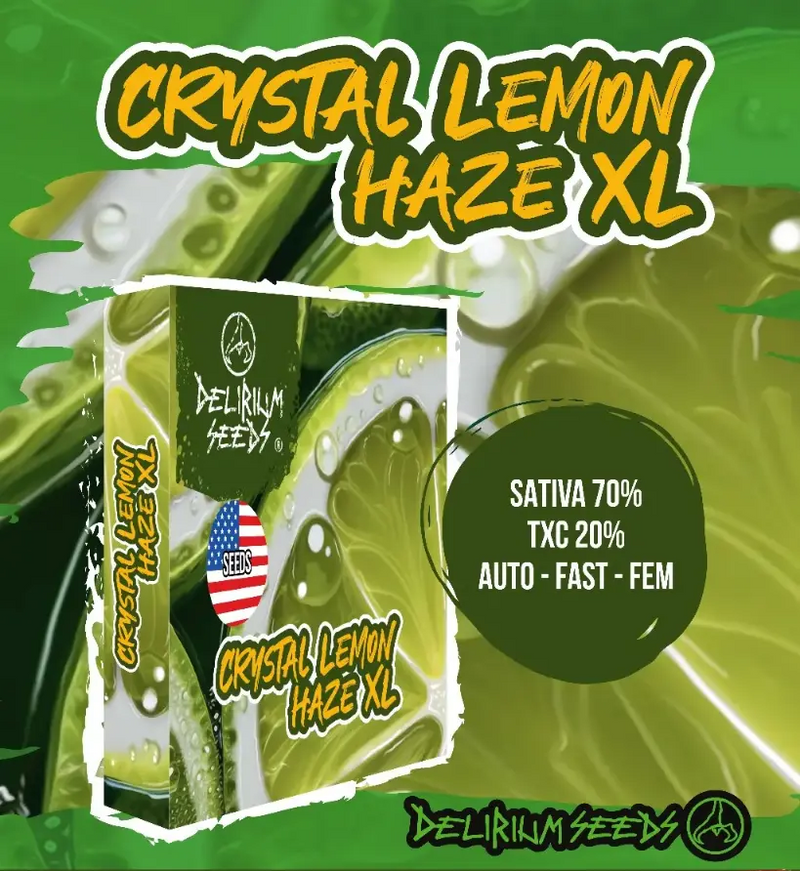 CRYSTAL LEMON HAZE XL FEM X2-DELIRIUM SEEDS (DS)