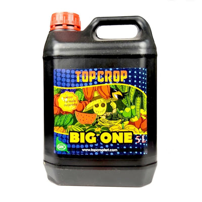 BIG ONE 5LT-TOP CROP (DS)