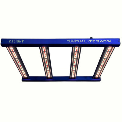 NEW QUANTUM LITE 360W-DELIGHT (DS)