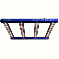 NEW QUANTUM LITE 360W-DELIGHT (DS)
