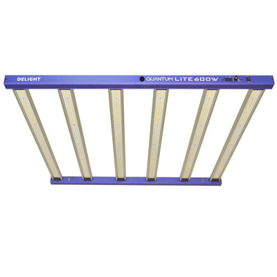 NEW QUANTUM LITE 600W-DELIGHT (DS)