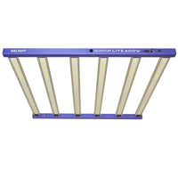 NEW QUANTUM LITE 600W-DELIGHT (DS)