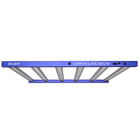 NEW QUANTUM LITE 600W-DELIGHT (DS)